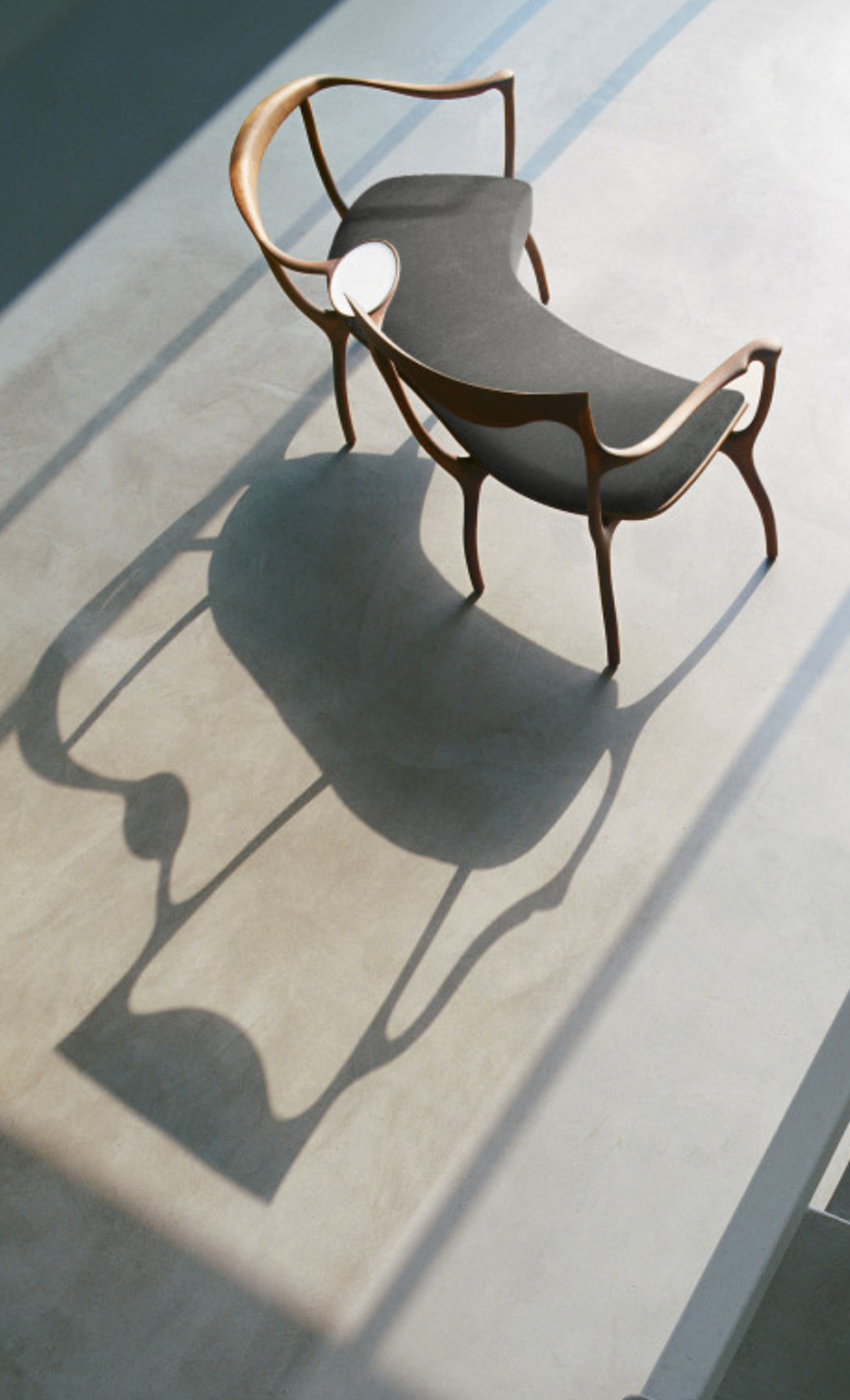 ceccotti images